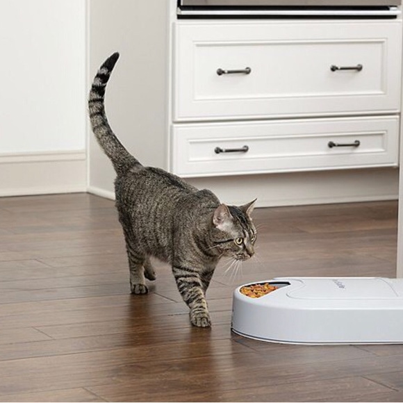 PetSafe® 5 Meal Pet Feeder Beige